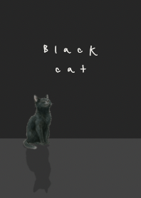 Black cat - black theme