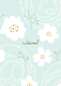 White flowers stylish cute8 from Japan