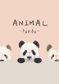 ANIMAL - Panda - SHELL PINK