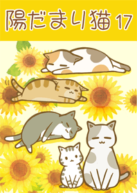 sunny spot cats 17 Sunflower