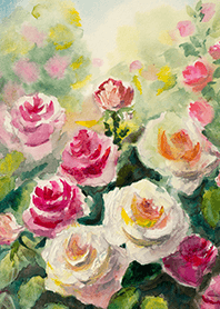 Beautiful rose flower(R4191)