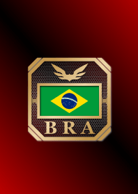 BRA 2