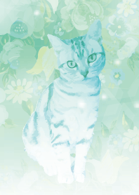 Garden and Cat #illustration