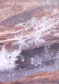 Snow Crystal Photo #2-12Not AI