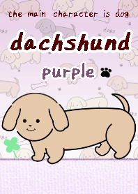 dachshund theme2 purple white