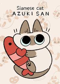 Siamese cat AZUKISAN
