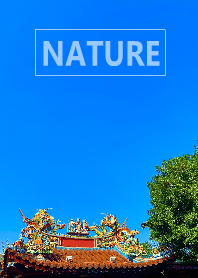 The nature36