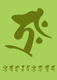BONJI zodiac [traH] CONIFER (0490