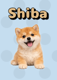 Tema Boneka Shiba Inu B/W 04