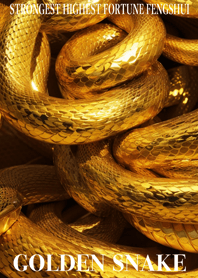 Golden Snake Lucky 54
