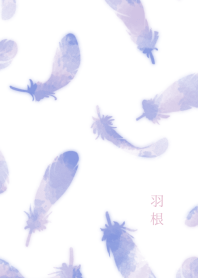 【運気アップ】羽根(フェザー)