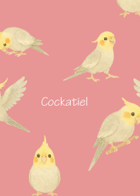 Cute Cockatiel3 light pink