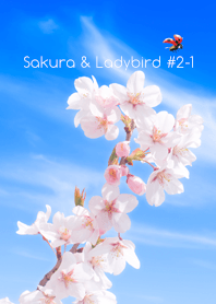 Sakura & Ladybird #2-1