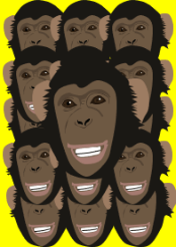 チンパンジー100%