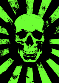 Skull - Lime & Black - Burst