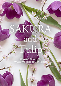 Sakura and Tulip