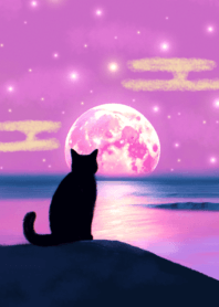 Lucky pink sky and cat
