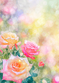 Beautiful rose flower(R1604)