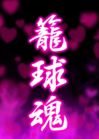 籠球魂3