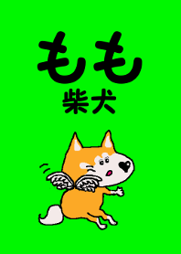 Shiba inu MOMO chan the third as well!