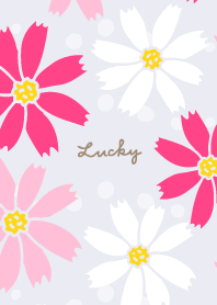 Cosmos cute22 from Japan