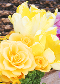 theme【flower】38