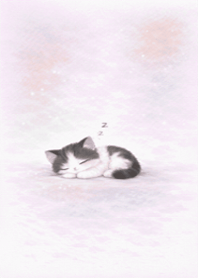 Degradê Rosa Gato Tuxedo