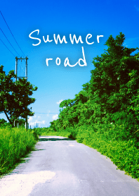-summer road-