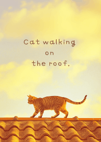 Cat walking on the roof. Evening.