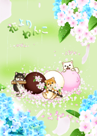 花よりわんこ20（柴犬、紫陽花、雨桜、団子