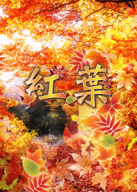 紅葉～autumn leaves～
