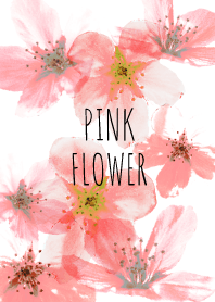 PINK -FLOWER-