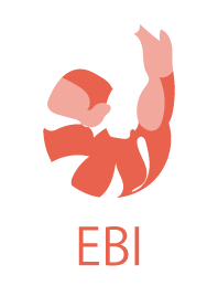 EBI（えび）