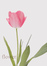 Surrounded by light floral fragrance1.