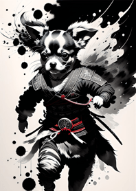 Anjing Tinta, Chihuahua5