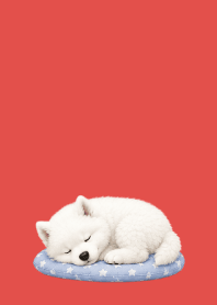 Baby Samoyed02 red