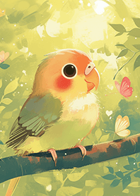 可愛の愛情鳥❤️鸚鵡