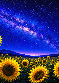 Milky Way Sunflowers