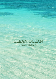 CLEAN OCEAN Emerald sea HAWAII 26