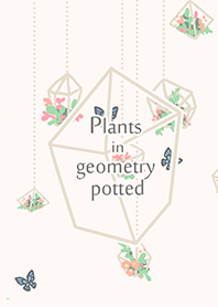 Plants in geometry potted
