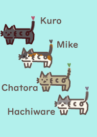 Neco has a ECO mind !_joint 4cats