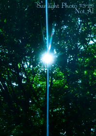 Sunlight Photo #3-29Not AI