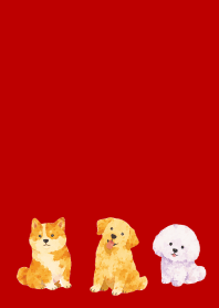 Is my dog here? 02 red & beige