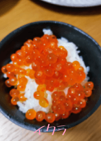 Salmon roe bowl!