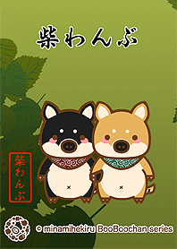 Shiba wanboo