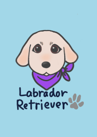 LabradorRetriever-Y illustration Theme
