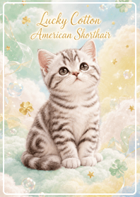 Lucky Cotton American Shorthair