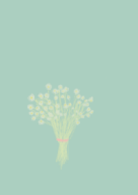 かすみ草（green）