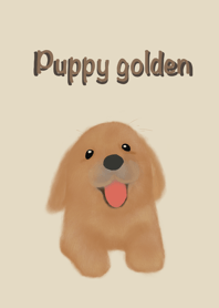 น้องหมา โกลเด้น