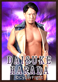 PRO WRESTLING NOAH HARADA DAISUKE